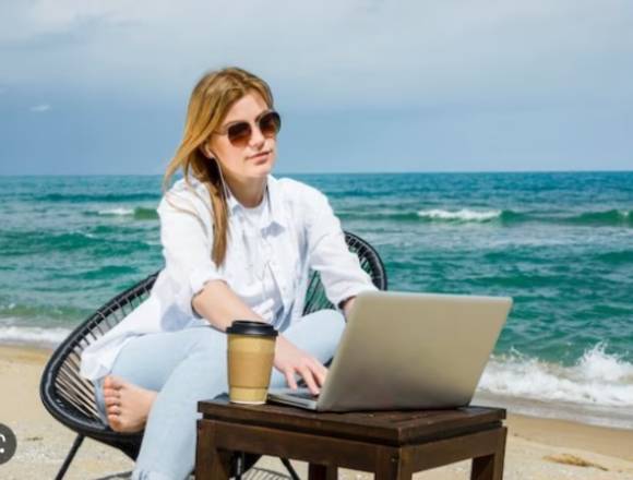 CON UNA OFICINA VIRTUAL, TRABAJA DESDE LA PLAYA en Miguel Hidalgo (Municipio)