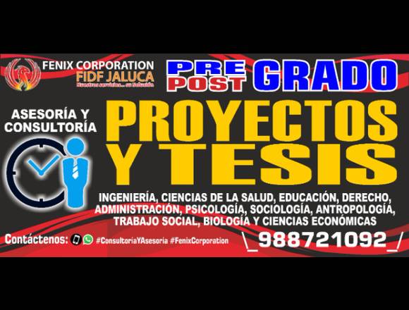 Asesoría, consultoría integral y parcial. en Ate (Lima 3) (Distrito)
