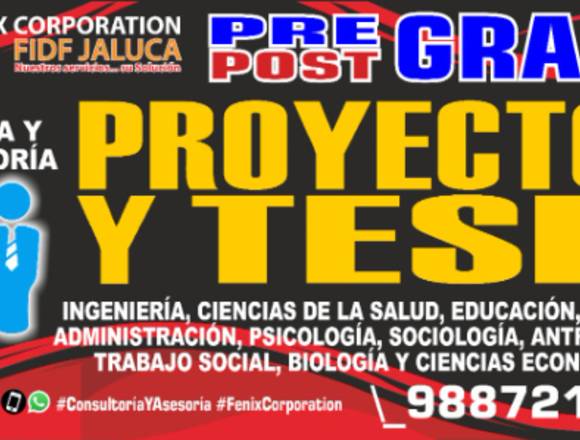 Asesoría, consultoría integral y parcial. en Ate (Lima 3) (Distrito)