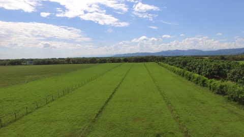 VENTA/PERMUTA LOTE FLANDES TOLIMA AERONAUTICA en Flandes (Municipio)