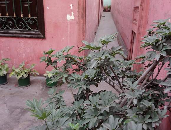 Venta de casa como terreno en Rímac (Lima 25) (Distrito)