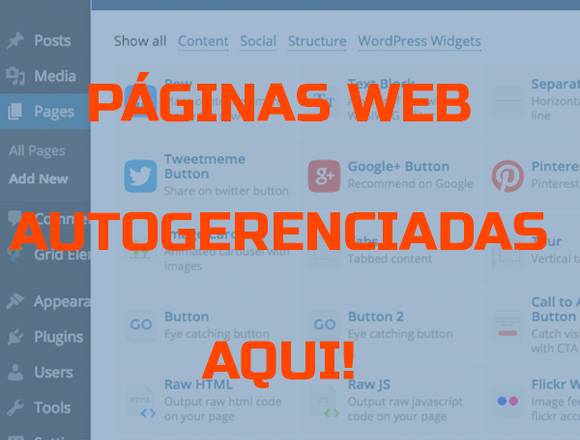 Diseño de paginas webs autoadministrables a medida em São Paulo (Municipio)