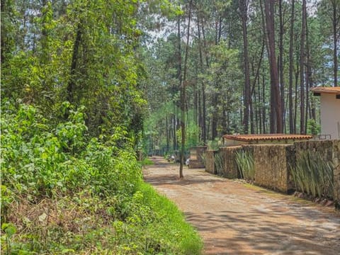 LOTE EN VENTA EN ZONA RESIDENCIAL EN AVANDARO | OPORTUNIDAD