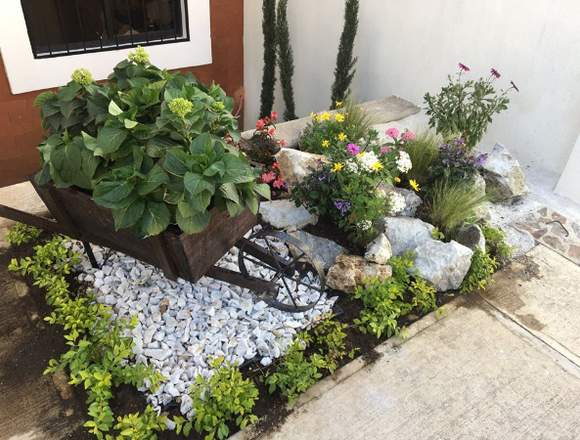 decoraciones de jardines en Ciudad de Guatemala (Municipio)