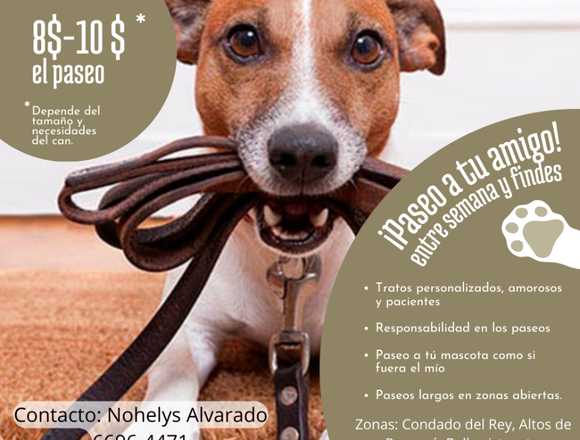 Paseo a tu mascota: perros y gatos en Panamá (Distrito)