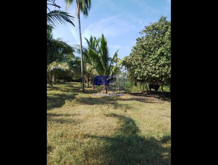 20Hectareas en venta cerca playa linda Ixtapa T519 en Zihuatanejo de Azueta (Municipio)