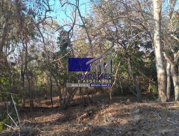 Terreno Venta Ixtapa Residencial Campo deGolf T517