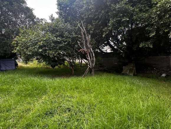 T529 Terreno en venta Hermanos López Rayón Morelia