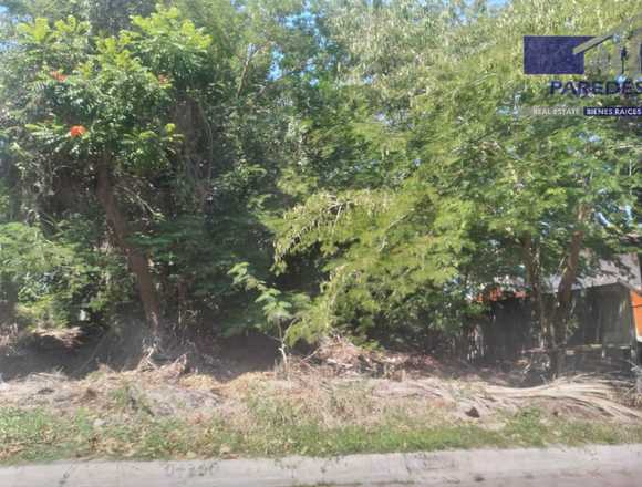 Terreno frente campo de golf PalmaReal Ixtapa T501