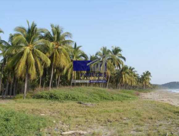 Pantla zona Ixtapa 113 hectareas frente playa T539 en Zihuatanejo de Azueta (Municipio)