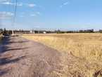 T507 Terreno en venta 3528 m2 El Trebol Tarimbaro