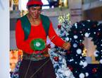 SHOW NAVIDEÑO PARA EVENTOS