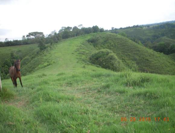 Hermosa finca en La Dorada Caldas en Victoria (Municipio)