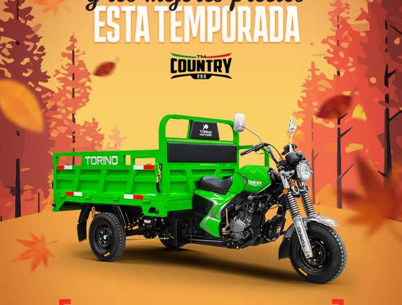 VENDO MOTOCARRO COUNTRY 250 CC en Xalapa (Municipio)