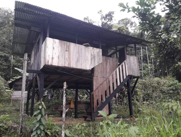 FINCA DE 10.4 HA EN VENTA EN SUCUMBÍOS