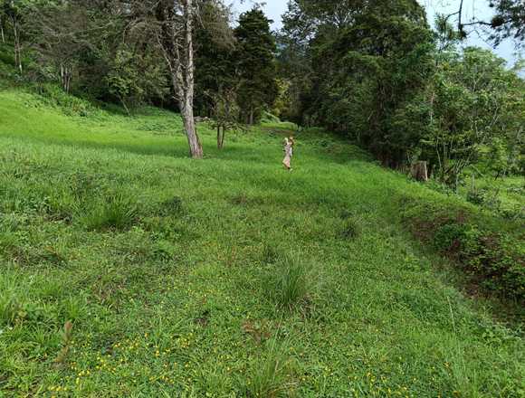 Venta lote 14,000 M2 precio negociable (60004564)