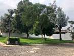 Amplio Lote en Venta, Cortijo Las Flores en Ciudad Vieja (Municipio)