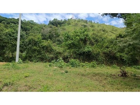 Venta de Lotes Campestres desde 600 m² en El Totumo – Ibagué