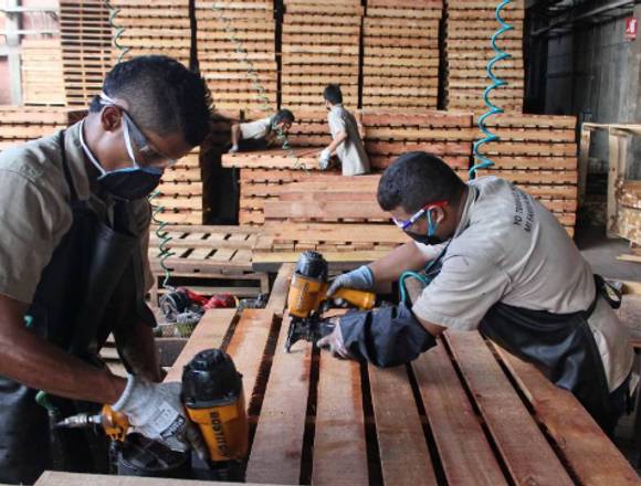 Proveedores De Estructuras Y Embalajes De Madera