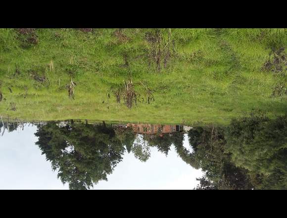 Terreno5000m2 amecameca san pedro nexapa