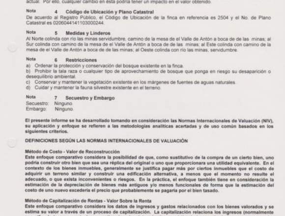 Se remata finca de 25 hectáreas en Antón (Distrito)