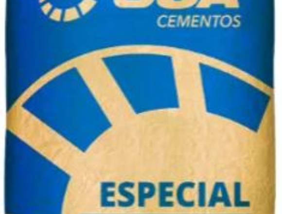 Cemento BSA 25 Kilos en Santiago (Comuna)