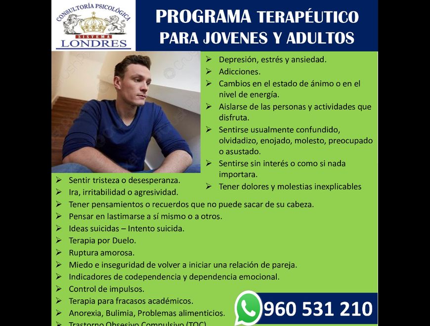 TERAPIA PARA JOVENES Y ADULTOS en Lince (Lima 14) (Distrito)