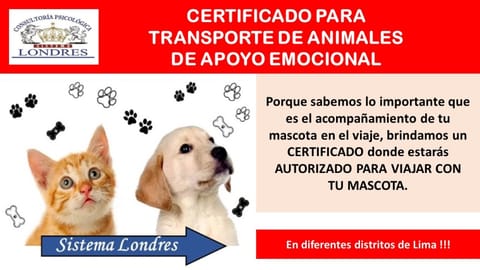 CERTIFICADO PARA TRANSPORTE DE ANIMALES DE APOYO E en Santiago de Surco (Lima 33) (Distrito)