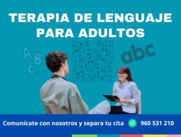 🗣️ Terapia de Lenguaje para Adultos en Lince (Lima 14) (Distrito)