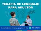 🗣️ Terapia de Lenguaje para Adultos en Lince (Lima 14) (Distrito)