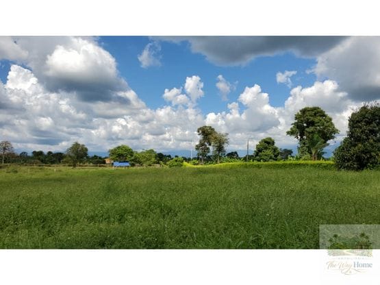 Se vende lote en Quimbaya