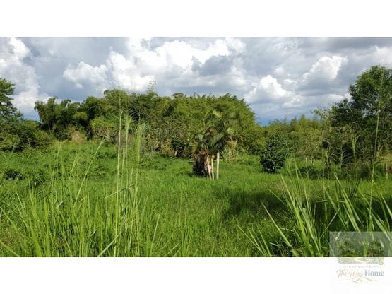 SE vende lote en Quimbaya en la vereda santana