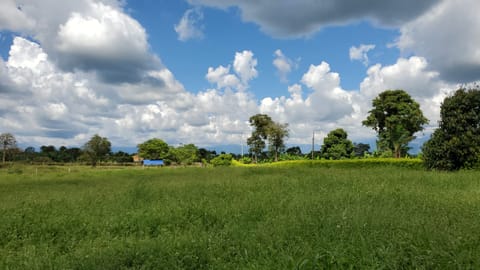 Se vende lote en Quimbaya en Quimbaya (Municipio)