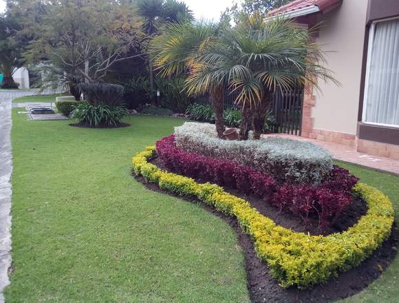 JARDINERÍA Y PAISAJISMO en Pichincha (Cantón)