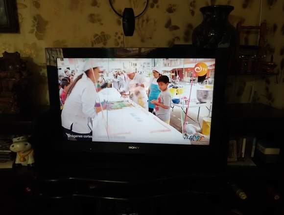televisor 21 SONY BRAVIA en Caicedonia (Municipio)