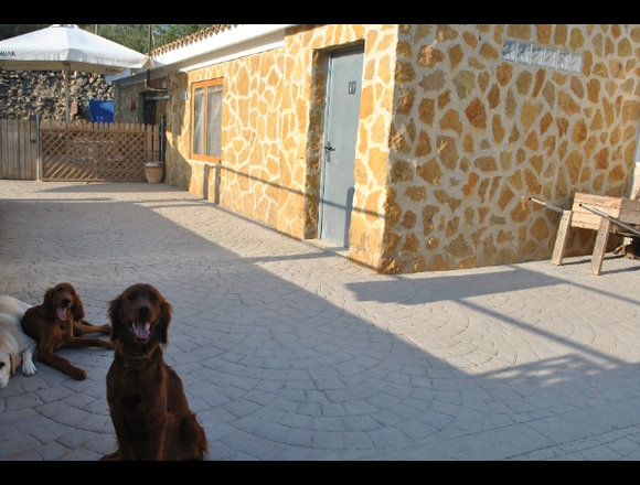 Residencia canina en plena naturaleza en Chiva (Municipio)
