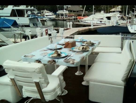 Yate Johnson venta impecable 50" en Miguel Hidalgo (Municipio)
