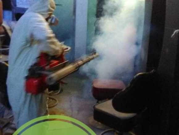 Fumigacion ecológica pulgas, cucarachas,