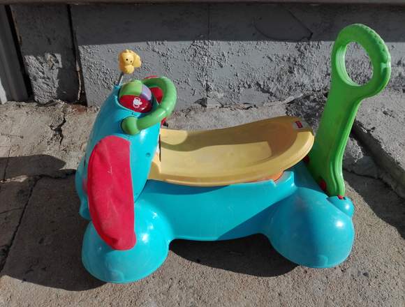 Corre pasillos elefante en Viña del Mar (Comuna)