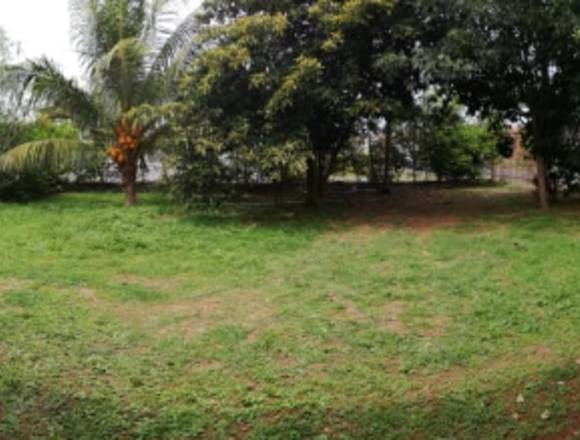 Casa en Alquiler Pocri-Aguadulce en Aguadulce (Distrito)