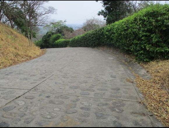 VENDE LOTE ESQUINERO EN COLINA CAMPESTRE DE YOPAL