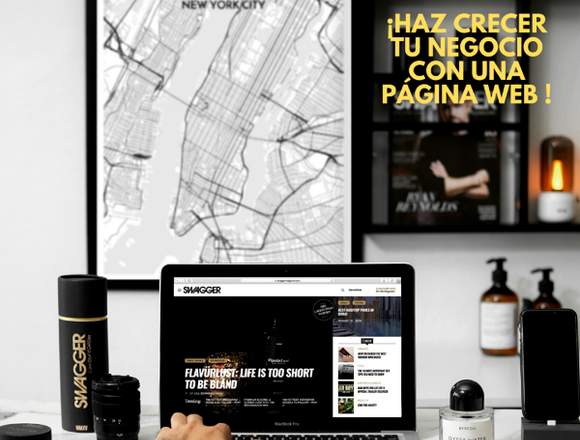 Diseño de páginas web profesionales en Capira (Distrito)