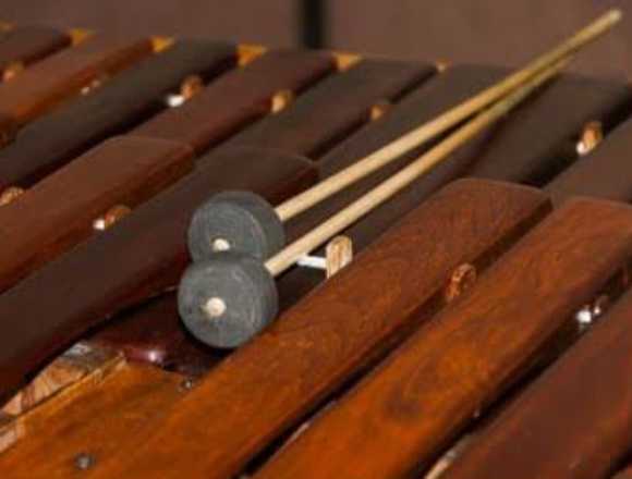 Marimba en Toluca, Metepec, Calimaya en Toluca (Municipio)