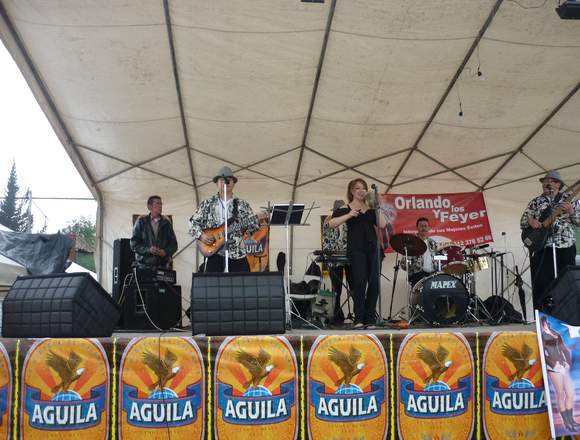 GRUPO MIX MÚSICA GUAPACHOSA TROPICAL