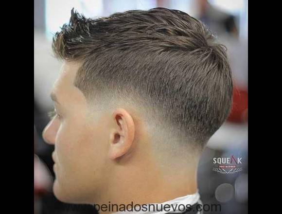 Peluquero Barbero a tu casa en Murcia (Municipio)