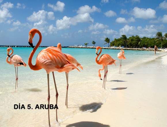 CRUCEROS ANTILLAS Y CARIBES DEL SUR