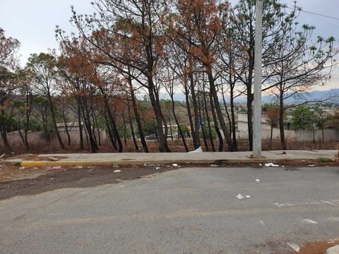 TERRENO VENTA SAN FRANCISCO ACUAUTLA 800 en Ixtapaluca (Municipio)
