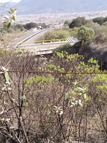 TERRENO EN VENTA CHIGNAHUAPAN PUEBLA en Chignahuapan (Municipio)