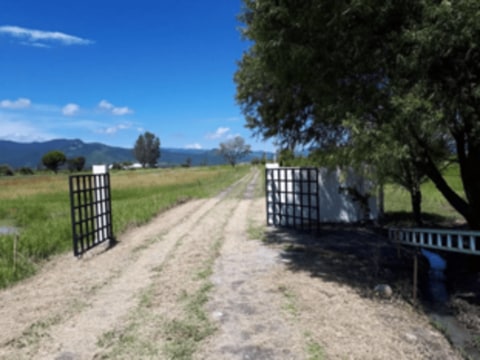 DESARROLLO TERRENOS PILCAYA GUERRERO en Pilcaya (Municipio)