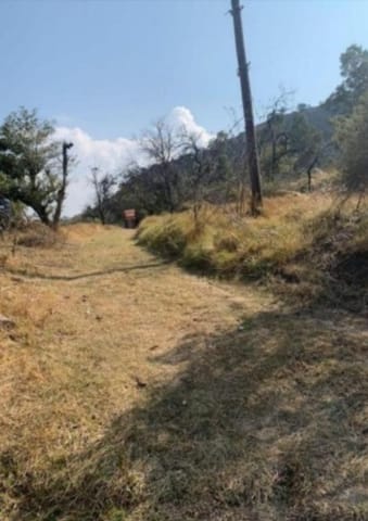 TERRENO VENTA TLAMINCA TEXCOCO
